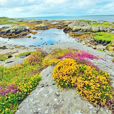 Holiday home 419 - Carna